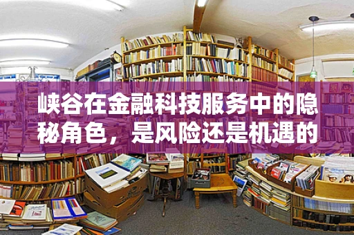 峡谷在金融科技服务中的隐秘角色，是风险还是机遇的避风港？