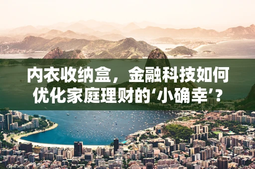 内衣收纳盒，金融科技如何优化家庭理财的‘小确幸’？