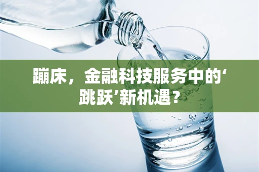 蹦床，金融科技服务中的‘跳跃’新机遇？