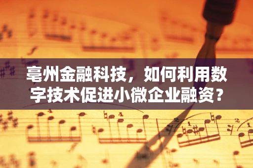 亳州金融科技，如何利用数字技术促进小微企业融资？