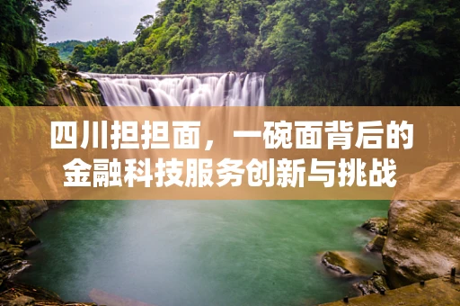 四川担担面，一碗面背后的金融科技服务创新与挑战