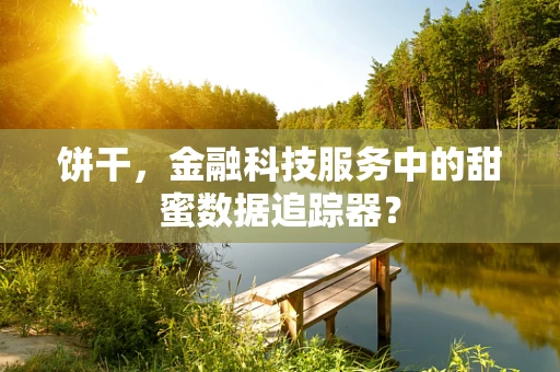 饼干，金融科技服务中的甜蜜数据追踪器？