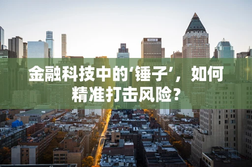 金融科技中的‘锤子’，如何精准打击风险？