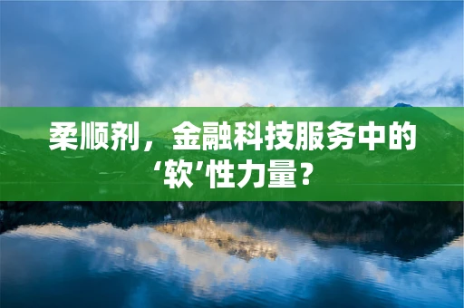 柔顺剂，金融科技服务中的‘软’性力量？