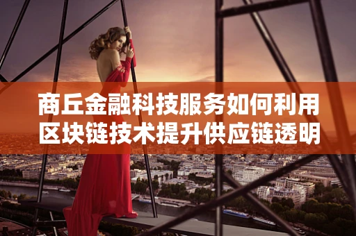 商丘金融科技服务如何利用区块链技术提升供应链透明度？