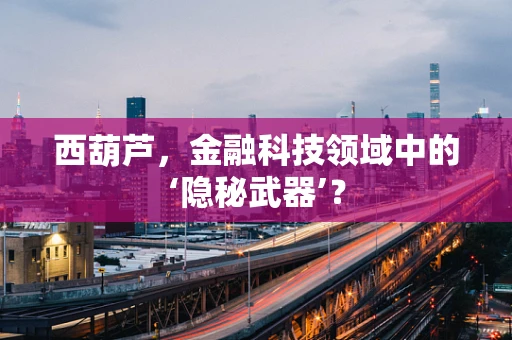 西葫芦，金融科技领域中的‘隐秘武器’？