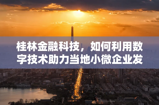 桂林金融科技，如何利用数字技术助力当地小微企业发展？