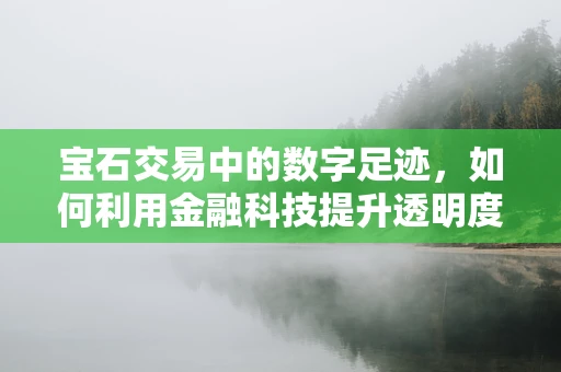宝石交易中的数字足迹，如何利用金融科技提升透明度？