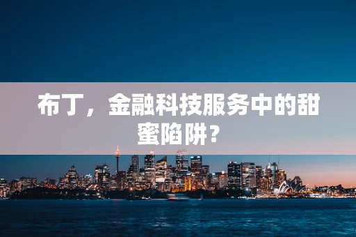 布丁，金融科技服务中的甜蜜陷阱？