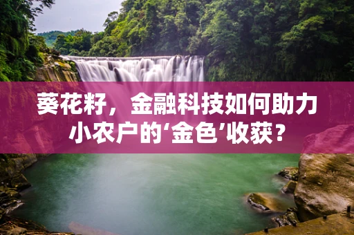 葵花籽，金融科技如何助力小农户的‘金色’收获？
