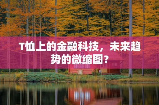 T恤上的金融科技，未来趋势的微缩图？