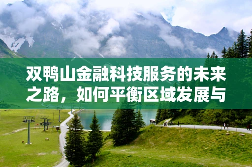 双鸭山金融科技服务的未来之路，如何平衡区域发展与技术创新？