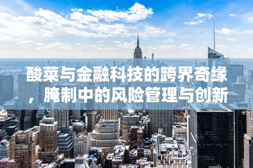 酸菜与金融科技的跨界奇缘，腌制中的风险管理与创新机遇？