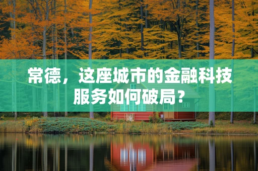 常德，这座城市的金融科技服务如何破局？