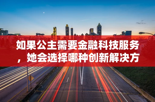 如果公主需要金融科技服务，她会选择哪种创新解决方案？