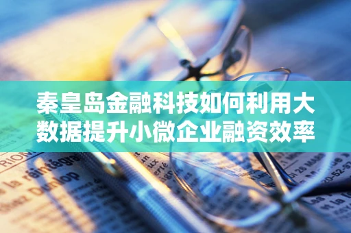 秦皇岛金融科技如何利用大数据提升小微企业融资效率？
