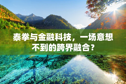 泰拳与金融科技，一场意想不到的跨界融合？