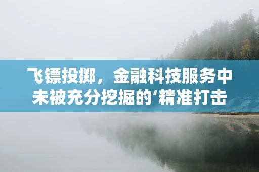 飞镖投掷，金融科技服务中未被充分挖掘的‘精准打击’工具？