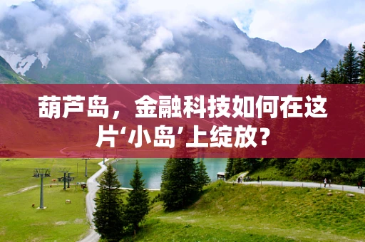 葫芦岛，金融科技如何在这片‘小岛’上绽放？