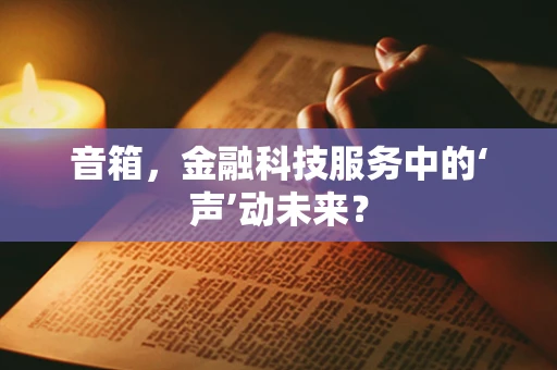 音箱，金融科技服务中的‘声’动未来？