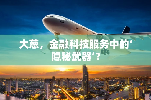 大葱，金融科技服务中的‘隐秘武器’？