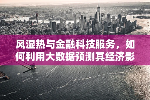 风湿热与金融科技服务，如何利用大数据预测其经济影响？