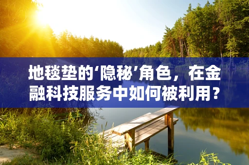 地毯垫的‘隐秘’角色，在金融科技服务中如何被利用？