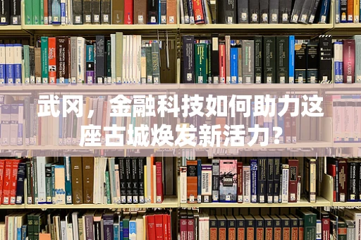 武冈，金融科技如何助力这座古城焕发新活力？
