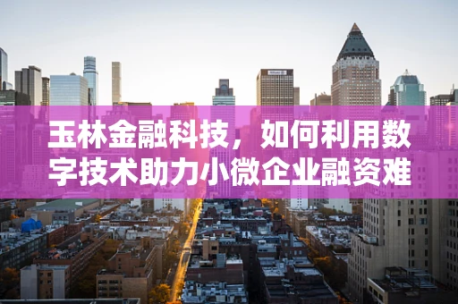 玉林金融科技，如何利用数字技术助力小微企业融资难题？