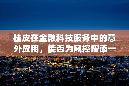 桂皮在金融科技服务中的意外应用，能否为风控增添一抹香料？
