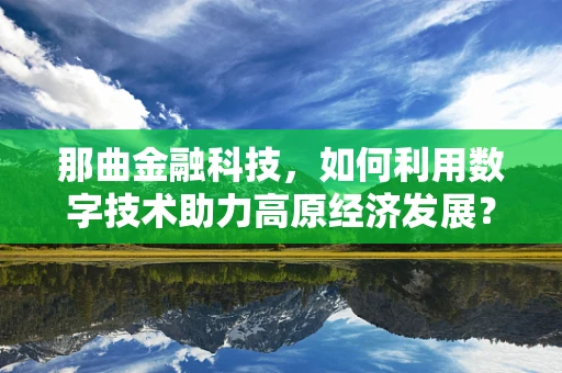 那曲金融科技，如何利用数字技术助力高原经济发展？
