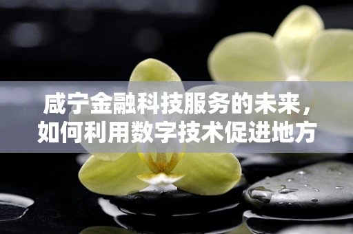 咸宁金融科技服务的未来，如何利用数字技术促进地方经济发展？