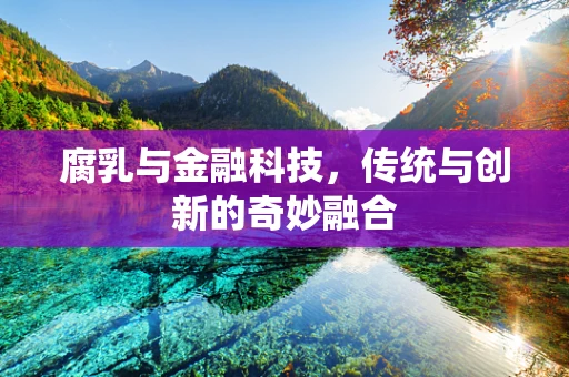腐乳与金融科技，传统与创新的奇妙融合