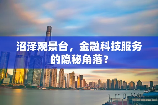 沼泽观景台，金融科技服务的隐秘角落？