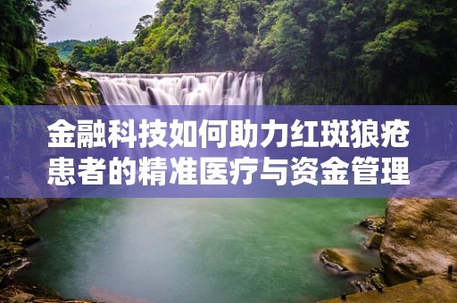 金融科技如何助力红斑狼疮患者的精准医疗与资金管理？