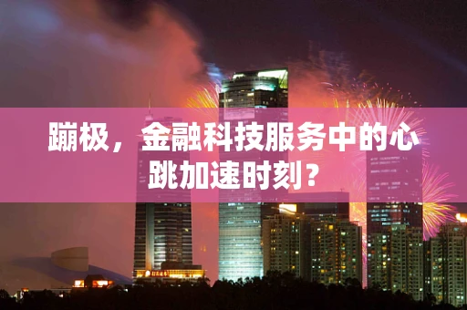 蹦极，金融科技服务中的心跳加速时刻？