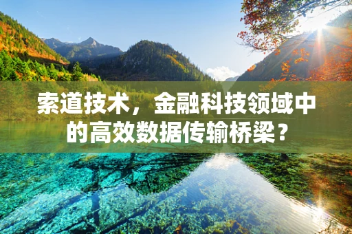 索道技术，金融科技领域中的高效数据传输桥梁？