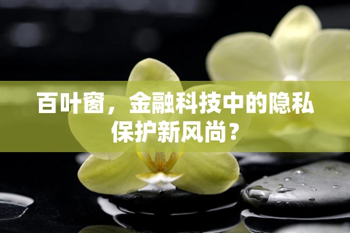 百叶窗，金融科技中的隐私保护新风尚？