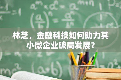 林芝，金融科技如何助力其小微企业破局发展？