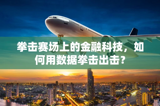 拳击赛场上的金融科技，如何用数据拳击出击？