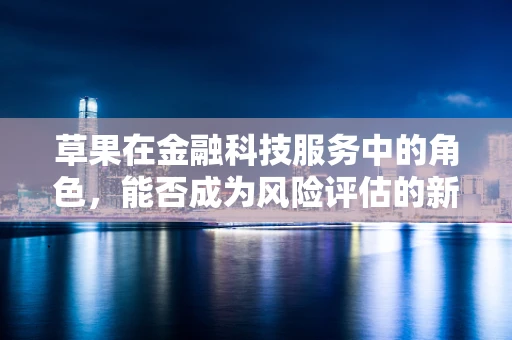 草果在金融科技服务中的角色，能否成为风险评估的新‘香料’？