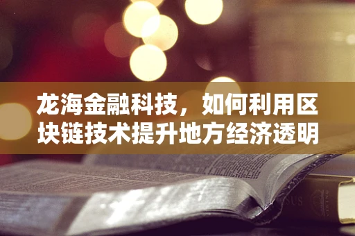 龙海金融科技，如何利用区块链技术提升地方经济透明度？