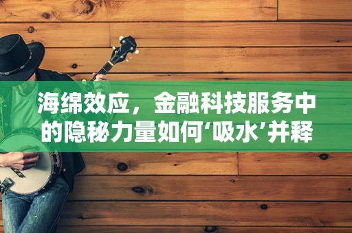 海绵效应，金融科技服务中的隐秘力量如何‘吸水’并释放价值？