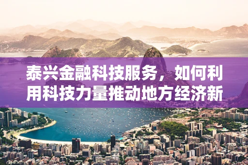 泰兴金融科技服务，如何利用科技力量推动地方经济新增长？