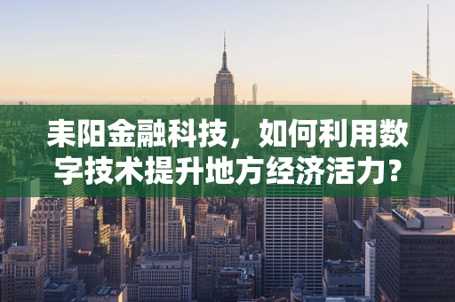 耒阳金融科技，如何利用数字技术提升地方经济活力？