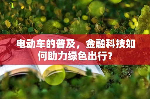 电动车的普及，金融科技如何助力绿色出行？