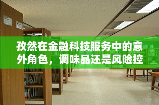 孜然在金融科技服务中的意外角色，调味品还是风险控制剂？