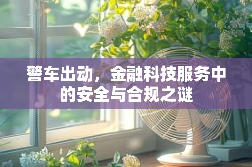 警车出动，金融科技服务中的安全与合规之谜