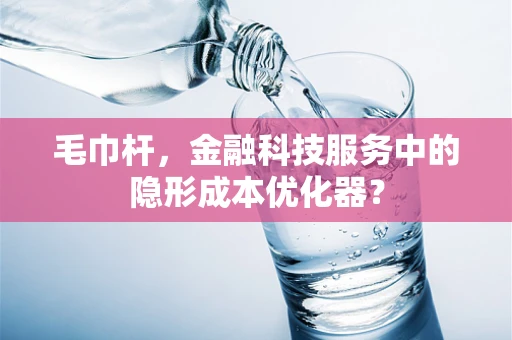毛巾杆，金融科技服务中的隐形成本优化器？