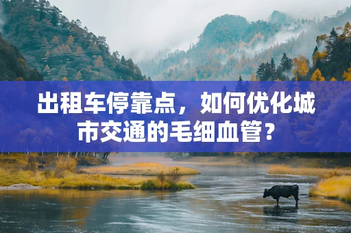 出租车停靠点，如何优化城市交通的毛细血管？